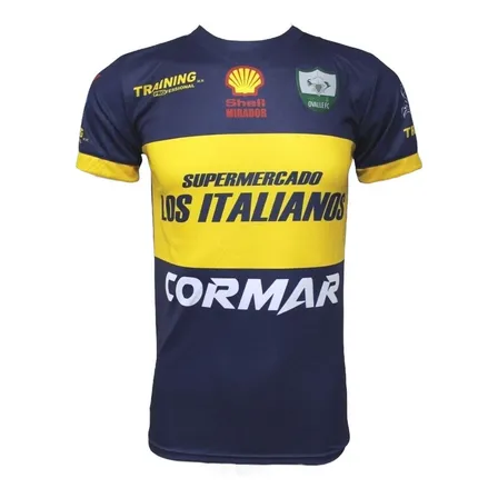 Camiseta Provincial Ovalle 2022 Local Original Training