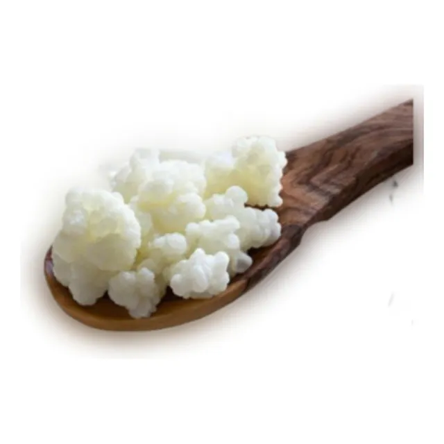 Kefir De Leche (pajaritos De Yogurt)