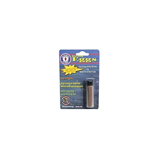 San Francisco Bay Marca Asf65031 Artemia Huevos Vial Para Lo