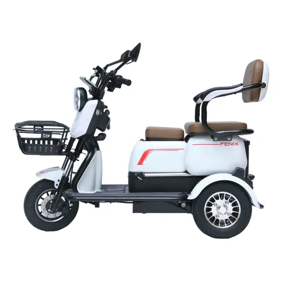 Triciclo Elétrico 750w Dois Assentos Cadeiras Ré Alarme