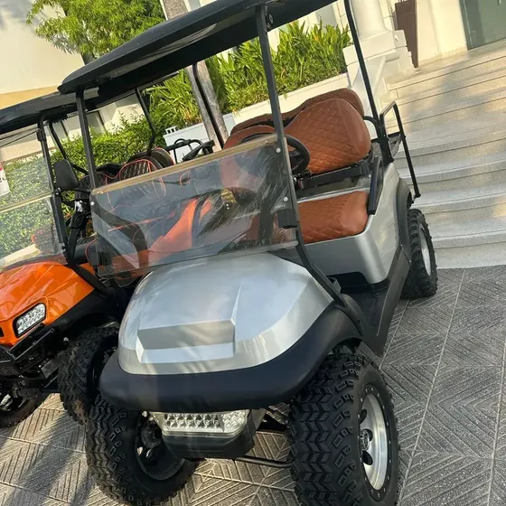 Carrito De Golf