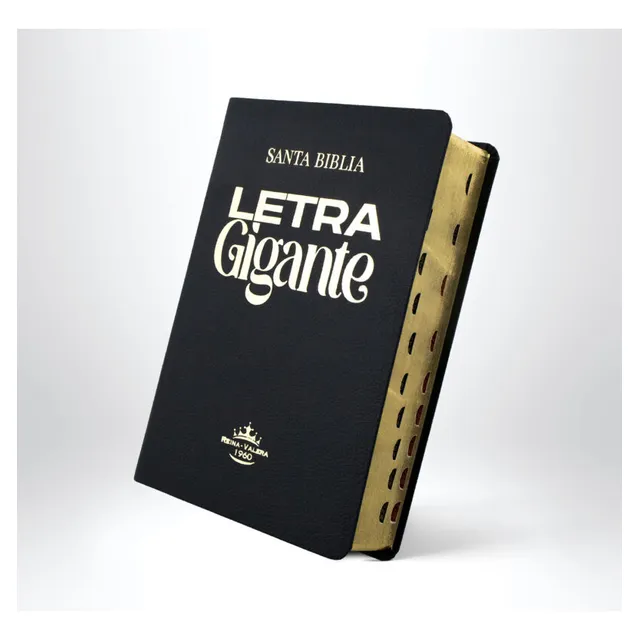 Biblia Reina Valera 1960 Letra Gigante