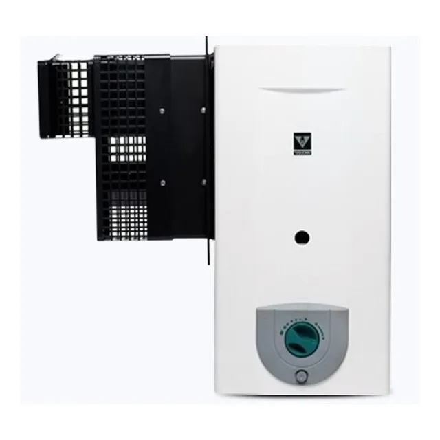 Calefon Volcan 315irvn 14l Gn Tiro Balanceado Izquierdo Color Blanco