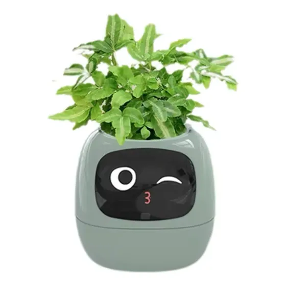 Maceta Inteligente Ivy - Emociones Digitales - Autorriego