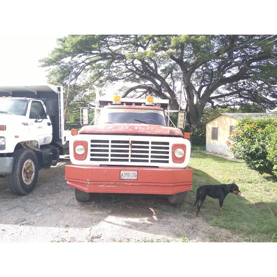 Camión Grúa Plataforma Ford F750 1976