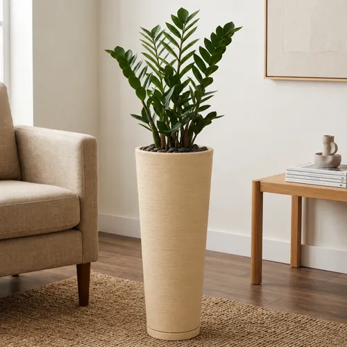 Rolling Planter Holder Indoor Use | MercadoLivre