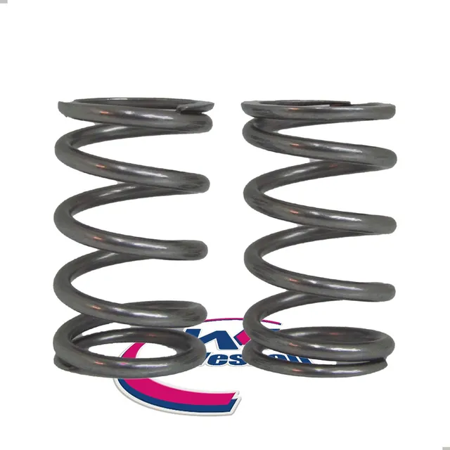 Resortes De Valvula Mpi Yamaha Ybr 125