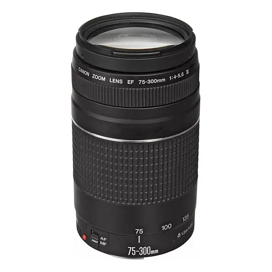 Lente Canon Ef 75-300mm F/4-5.6 Iii Autofoco Brasil