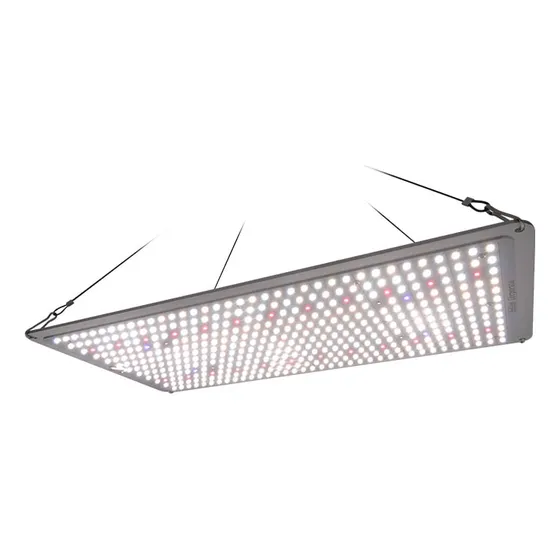 Quantum Board Slim Sun | 200w | Helios Corporate