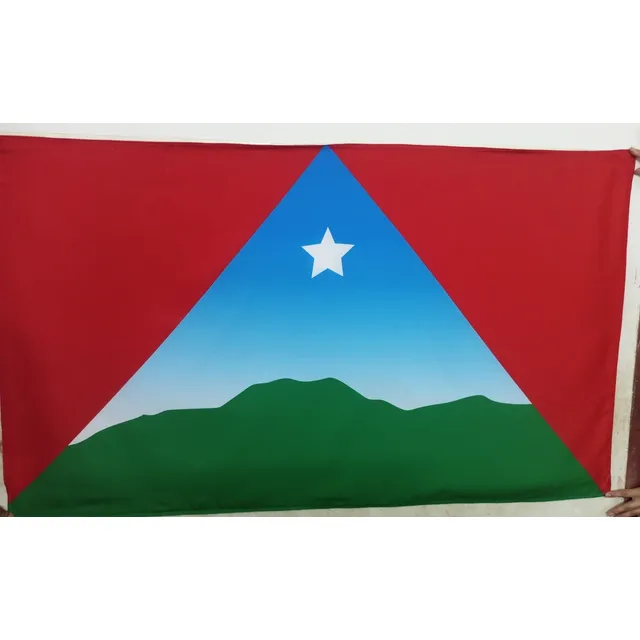 Bandera Caracas (municipio Libertador)1,40x0,90 Mts.fabrica