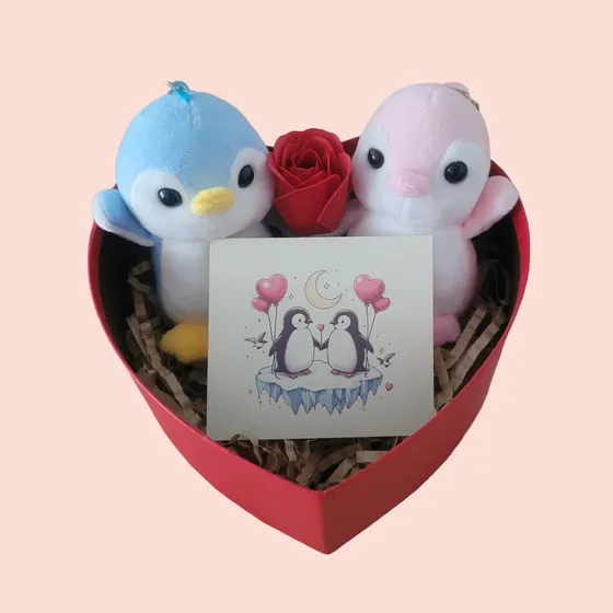 Set San Valentín Pareja Pingüinitos 