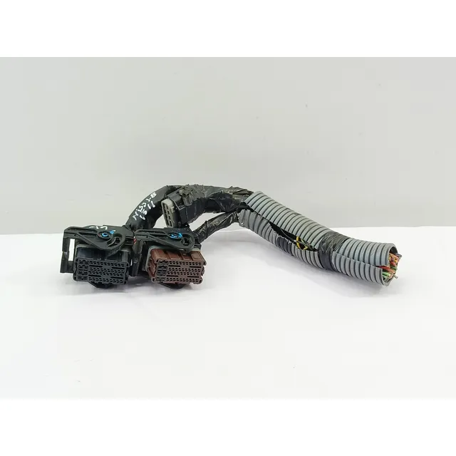 Arnes Computadora Nissan Sentra 1.8l Aut 13-19
