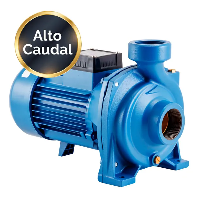 Bomba Centrifuga Bh200t Trifasica 2hp Motorarg Alto Caudal