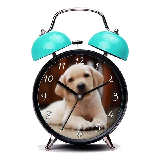Reloj Despertador Doble Campana Color Azul