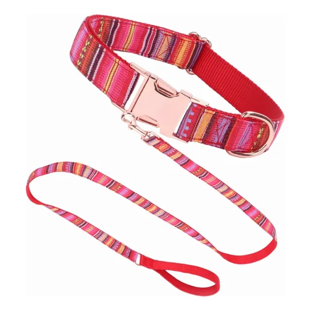Collar De Perro Personalizado  Nombre, Collar Personalizax1