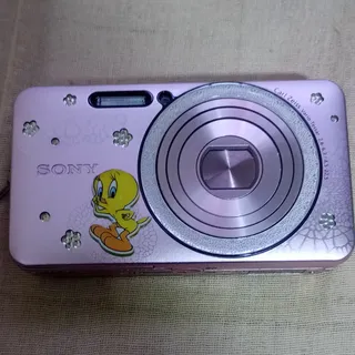 Camera Digital Sony W570 16.1cyber Shot Frete Gratis 299 00