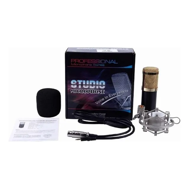 Micrófono Condensador Home Studio Bm-700 Pc / Lhua Color Negro