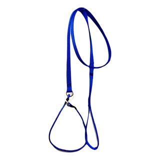 Correa De Paseo C/collar Integrado (55 Cms) Correa De Paseo C/collar Integrado (55 Cms)