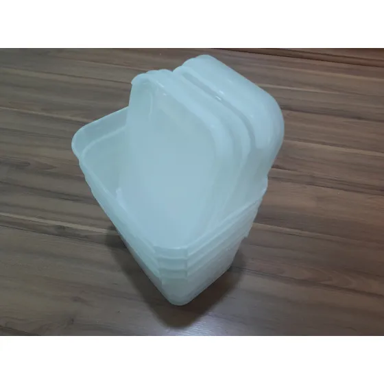 Kit C/20 Potes Sorvete Plástico 2 L Branco
