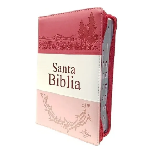 Biblia Reina Valera 1960 Letra Grande Con Cierre E Indice