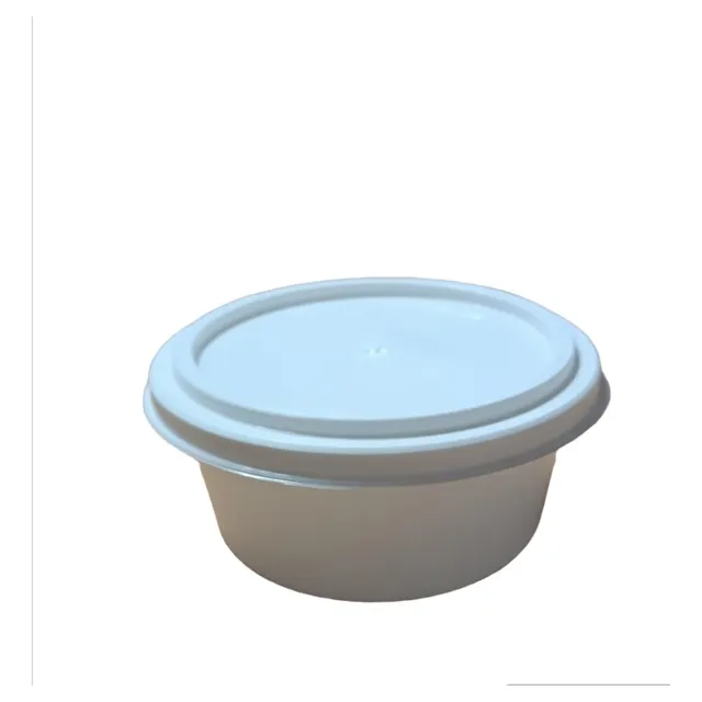 Envase Plástico Tina Crema Mantequilla Natilla Queso 250 Grs