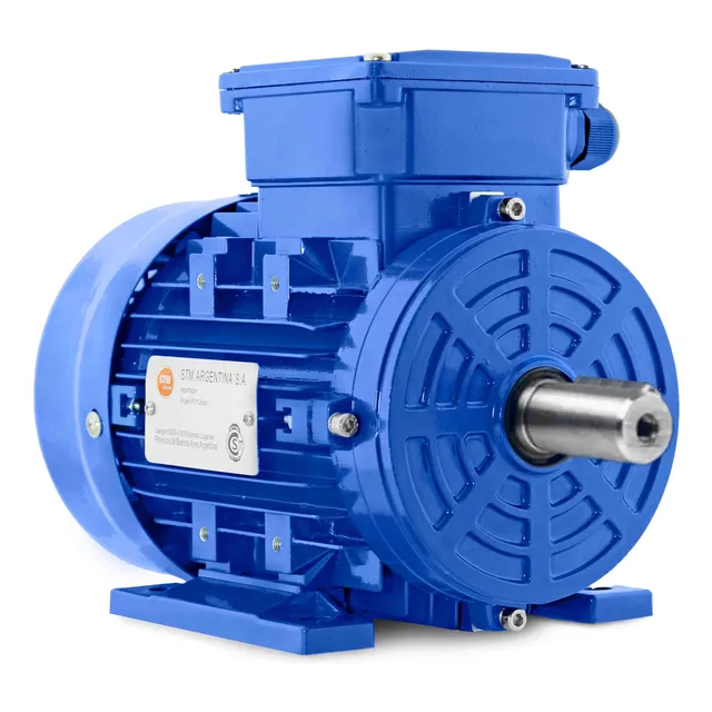 Motor Trifásico 3hp 3000rpm B3 Con Patas Uso Continuo