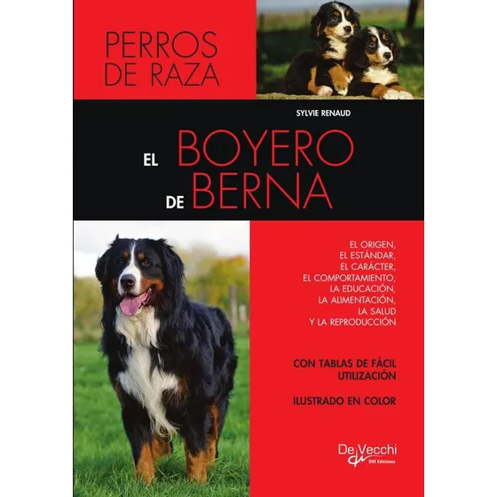 El Boyero De Berna, De Sylvie Renaud