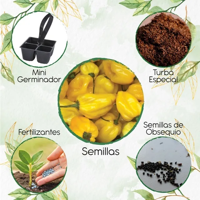 10 Semillas De Ají Habanero Limón + Mini Kit De Germinación 