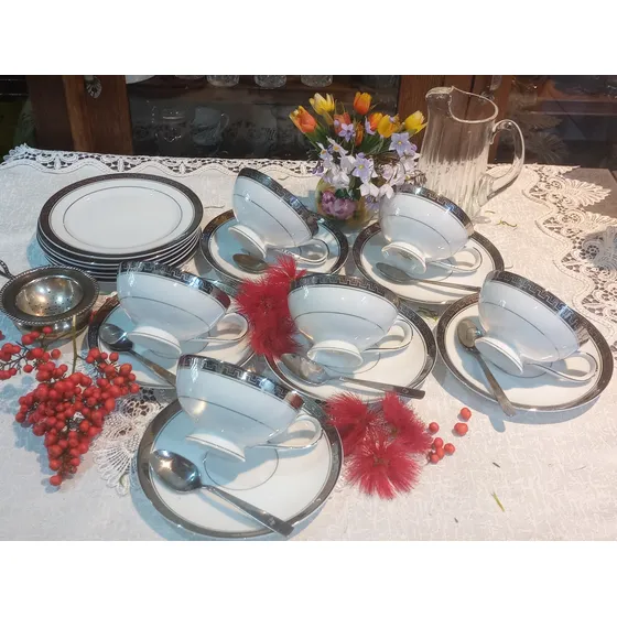 Antiguo Juego Te Porcelana Japan 18pzas+accesorios 8u N209