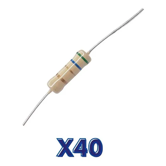 Kit 40  Resistencias 1 W
