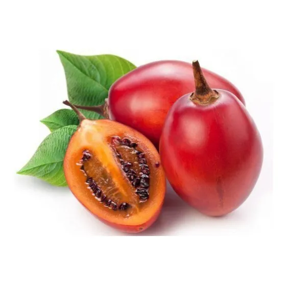 Planta De Tomate De Árbol - Chilto - Frutal Nativo!!!