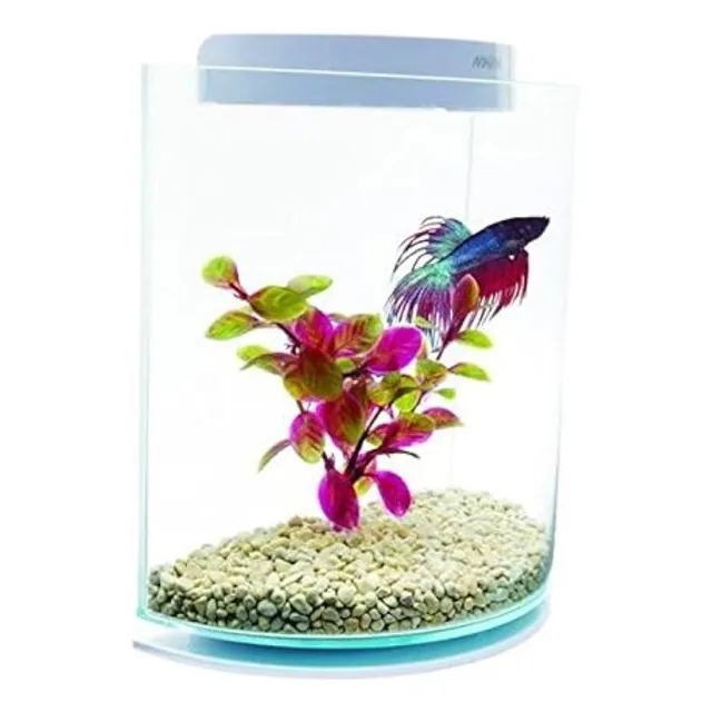 Marina Betta Kit Con Luz Led Half Moon 3lt Peces Betta