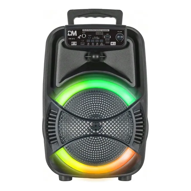 Bocina Portatil De 8  Dm-873  Con Luces Led Y Bluetooth
