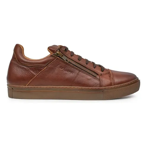Zapatilla Hombre Briganti Cuero Zapatos Urbanos Hczp14170