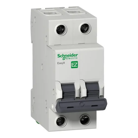 Interruptor Termomagnetico Para Riel Din 2 Polos Schneider