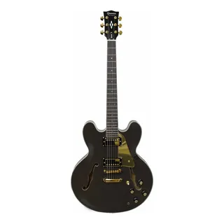 ブラジルHofma HG-285c セミアコ ボサノバ/ジャズ ブラジルHofma HG