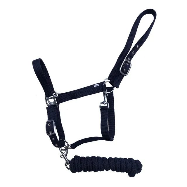 Bozal De Color Haut De Gamme Polo Salto Equitacion Caballo