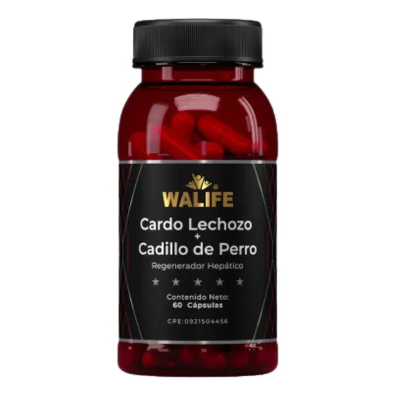 Cardo Lechoso Cadillo De Perro Regeneración Hepática Walife
