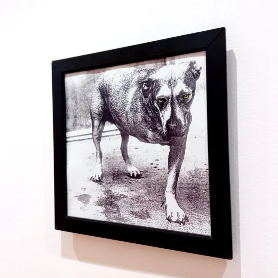 Quadro Alice In Chains The Dog Álbum Capa De Disco Lp E Cd