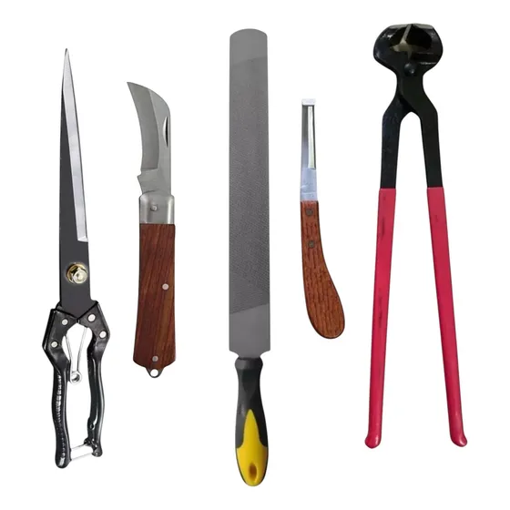 Set De Herrar Escofina Remachadora Tenaza Y Cuchillo