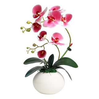 Forlaoers Modernas Orquídeas Artificiales Rosas De 17 Pulgad Forlaoers Modernas Orquídeas Artificiales Rosas De 17 Pulgad