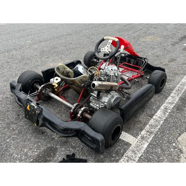 Motor Lifan 200 Precintado Chasis Birel Sudan
