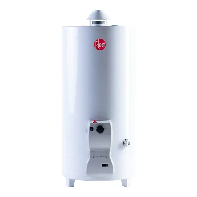 Termotanque Rheem 80 Litros Pie A Gas Tpg080gnrh Ch Oferta!!