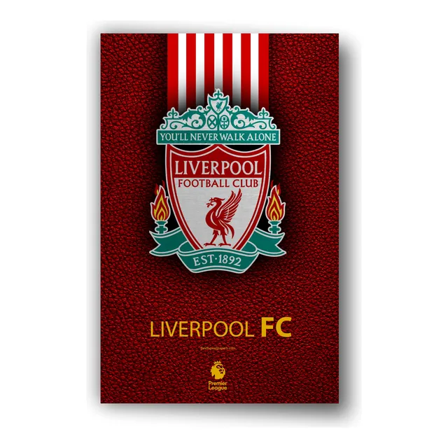 Equipos De Futbol Cuadro Decorativo Arte Moderno
