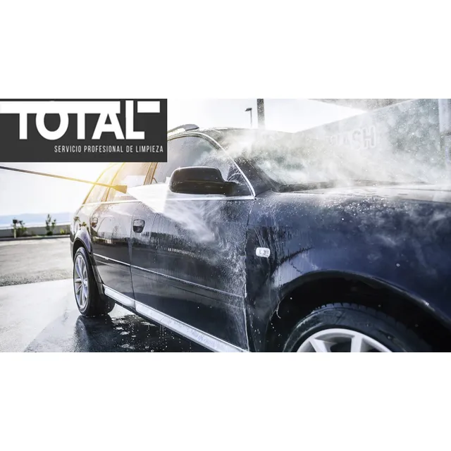 Limpieza De Tapizados Autos Lavado De Autos A Domicilio