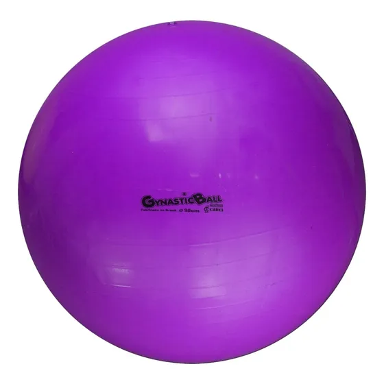 Bola De Pilates Fitball Gynastic Ball 95cm Carci Cor Roxa
