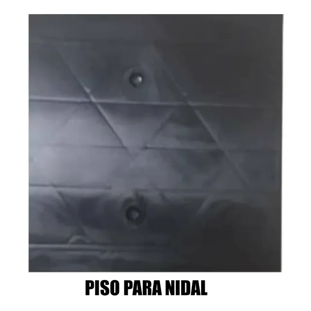 Piso Para Nidal