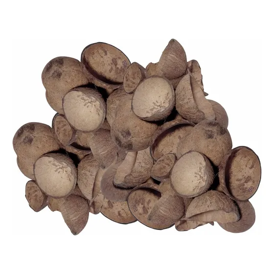 Casca De Coco Artesanato 100 Peças