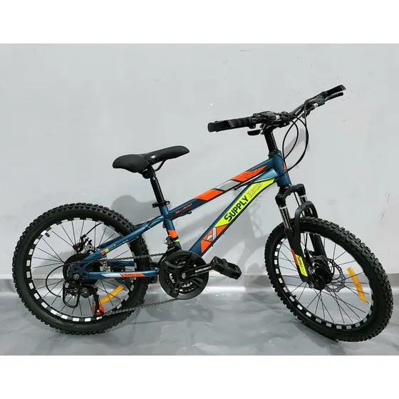 Bicicleta Rin 20 Mtb Con Cambio Varios Colores