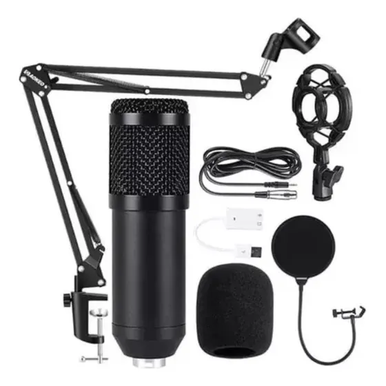 Micrófono Profesional Condensador Bm-800 Brazo Extensible